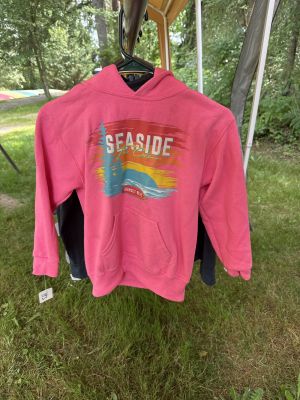 Pink Seaside Hoodie