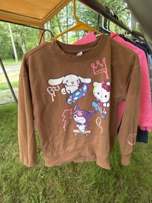 Brown Sanrio Character Sweatshirt
