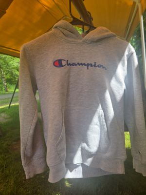 Gray Champion Hoodie
