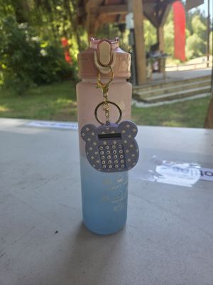 Pink Ombre Water Bottle