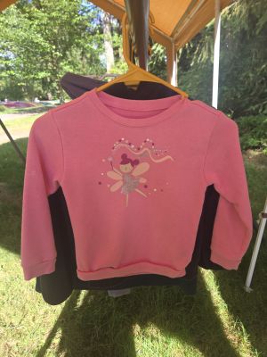 Pink Fairy Sweatshirt