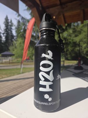 Black H2O Water Bottle