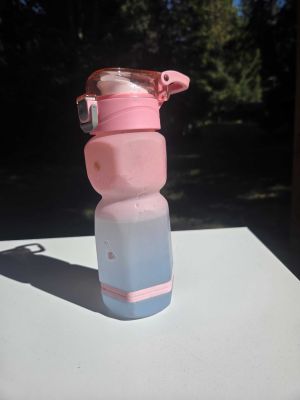Pink and Blue Water Bottle