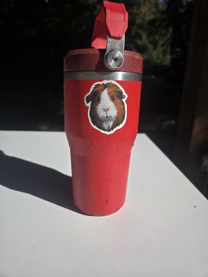 Red Tumbler with Guinea Pig Sticker