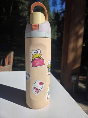 Hello Kitty Water Bottle