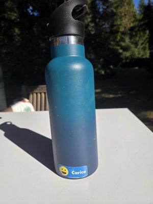 Teal Insulated Water Bottle