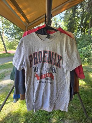 Gray Phoenix Arizona T-Shirt