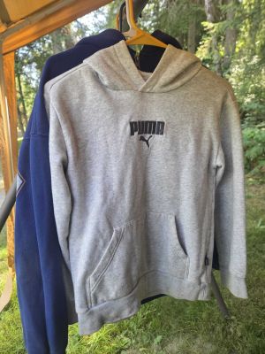 Gray Puma Hoodie