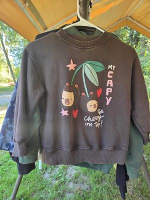 Brown Capybara Cherry Sweatshirt