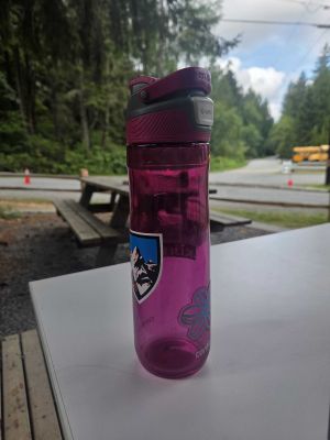Pink Contigo Water Bottle