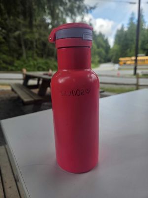 Pink Insulated Water Bottle