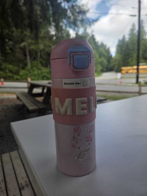 Pink Insulated Water Bottle