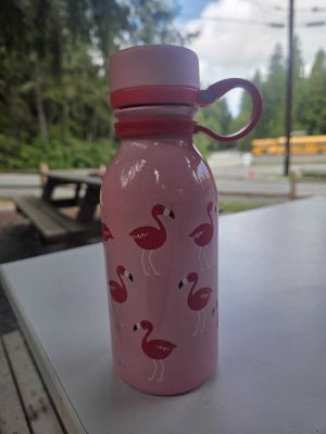 Pink Flamingo Water Bottle