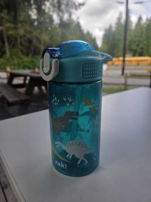 Zak! Dinosaur Water Bottle