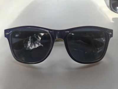 Blue Wayfarer-Style Sunglasses