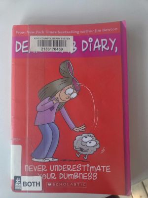 Dear Dumb Diary Book