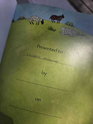 The Jesus Storybook Bible