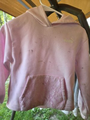 Pink Puma Hoodie