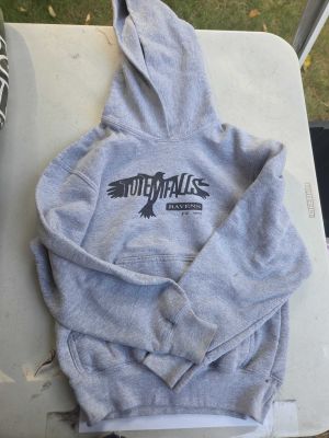 Gray Totem Falls Ravens Hoodie
