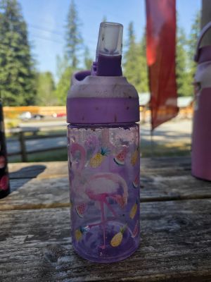 Purple Flamingo Water Bottle