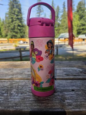 Pink Disney Princess Water Bottle