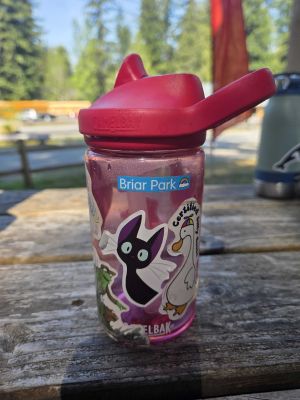 Pink CamelBak Water Bottle