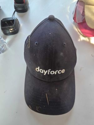 Navy Dayforce Baseball Cap