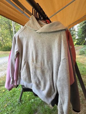 Gray Hooded Sweatshirt