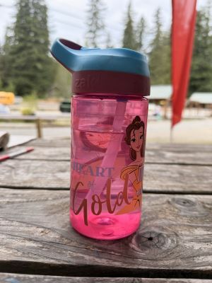 Pink Disney Princess Water Bottle