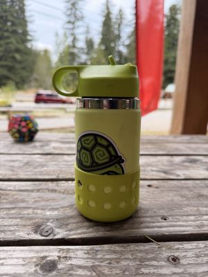 Green Turtle Water Bottle